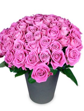 Premiumblumenstrauß - 50 rosa Rosen