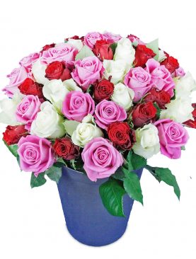 Premium Strauß - 50 rot-weiß-rosa Rosen