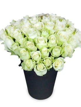 Premiumstrauß - 50 weiße Rosen