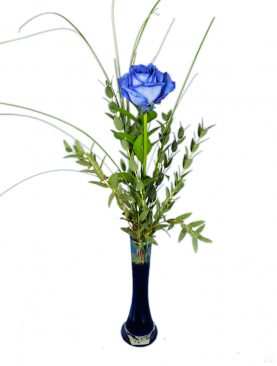 Einzelne blaue Rose