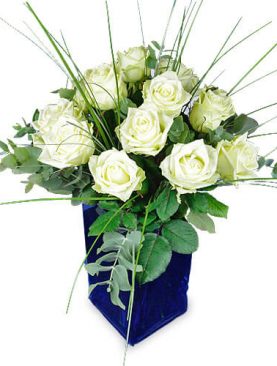 Rosenstrauß - 20 weiße XXL Rosen